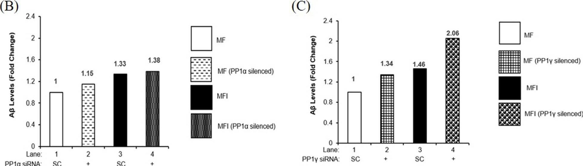 Fig.9.B,C showing Enzyme-linked immunosorbent assay in a Mus musculus (House mouse) sample from the publication: PP1γ regulates neuronal insulin signaling and aggravates insulin resistance leading to AD-like phenotypes.
