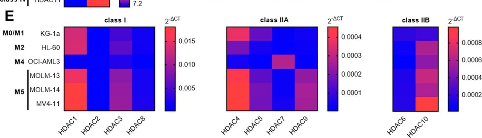 Fig.1.E from the publication: The Class IIA Histone Deacetylase (HDAC) Inhibitor TMP269 Downregulates Ribosomal Proteins and Has Anti-Proliferative and Pro-Apoptotic Effects on AML Cells.