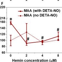 Fig.4.F from the publication: Nitric Oxide-Scavenging, Anti-Migration Effects, and Glycosylation Changes after Hemin Treatment of Human Triple-Negative Breast Cancer Cells: A Mechanistic Study.
