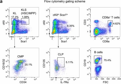 Fig.10.A showing Flow cytometry/Cell sorting in a Mus musculus (House mouse) sample from the publication: Improved reconstruction of single-cell developmental potential with CytoTRACE 2.