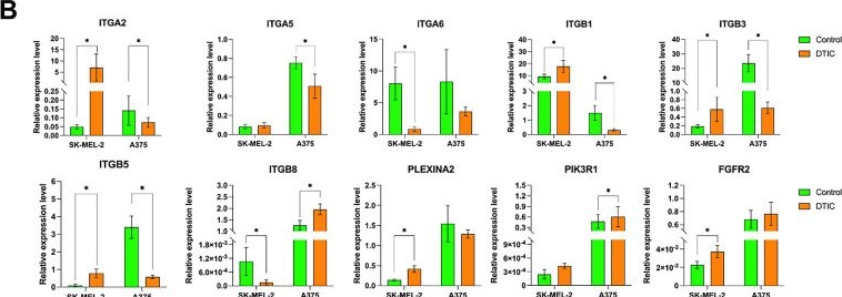 Fig.2.B from the publication: Plexin A2 Knockdown Enhances Apoptosis in Chemotherapy Treated Melanoma Cells.