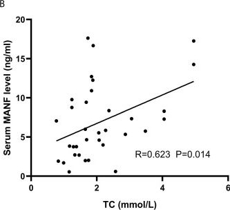 Fig.3.B showing Enzyme-linked immunosorbent assay from the publication: Correlation of Significantly Decreased Serum Circulating Mesencephalic Astrocyte-Derived Neurotrophic Factor Level With an Increased Risk of Future Cardiovascular Disease in Adult Patients With Growth Hormone Deficiency.