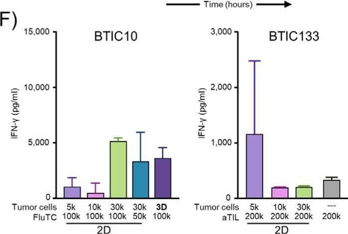 Fig.5.F showing Enzyme-linked immunosorbent assay from the publication: Scaffold-Based (Matrigel™) 3D Culture Technique of Glioblastoma Recovers a Patient-like Immunosuppressive Phenotype.