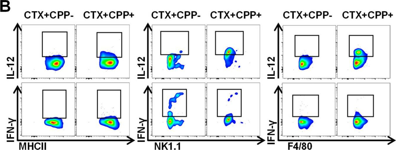Fig.3.B showing Flow cytometry/Cell sorting in a Mus musculus (House mouse) sample from the publication: Carrot Pomace Polysaccharide (CPP) Improves Influenza Vaccine Efficacy in Immunosuppressed Mice via Dendritic Cell Activation.