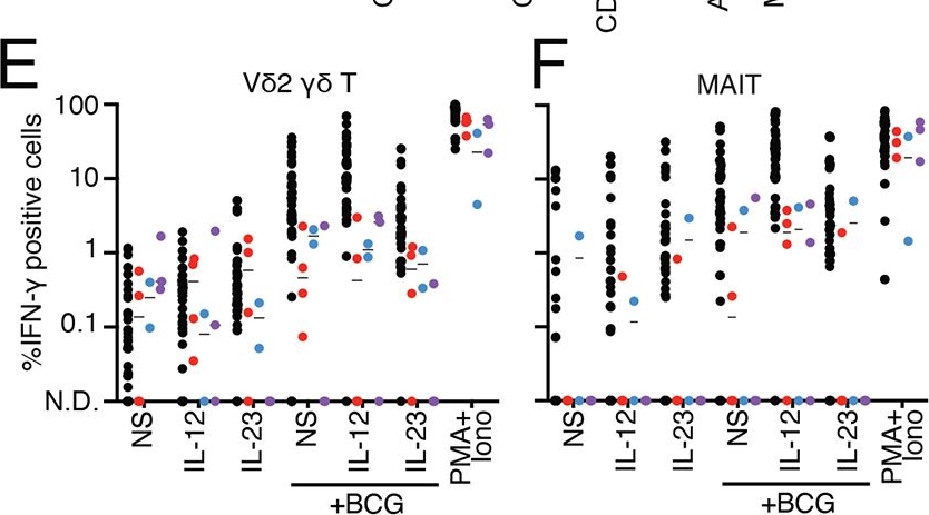 Fig.7.E from the publication: Human MCTS1-dependent translation of JAK2 is essential for IFN-γ immunity to mycobacteria.