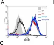 Fig.5.A showing Flow cytometry/Cell sorting in a Mus musculus (House mouse) sample from the publication: Ciliary neurotrophic factor (CNTF) plus soluble CNTF receptor alpha increases cyclooxygenase-2 expression, PGE2 release and interferon-gamma-induced CD40 in murine microglia.
