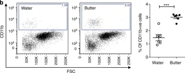 Fig.1.D showing Flow cytometry/Cell sorting in a Mus musculus (House mouse) sample from the publication: Dietary cholesterol directly induces acute inflammasome-dependent intestinal inflammation.