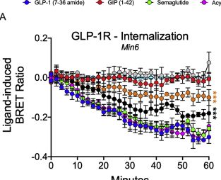 Fig.5.A from the publication: Spatiotemporal GLP-1 and GIP receptor signaling and trafficking/recycling dynamics induced by selected receptor mono- and dual-agonists.