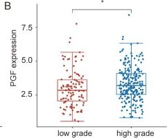 Fig.2.B showing Flow cytometry/Cell sorting from the publication: Co-inhibition of PGF and VEGFA enhances the effectiveness of immunotherapy in bladder cancer.