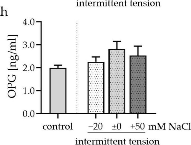 Fig.4.H showing Enzyme-linked immunosorbent assay from the publication: Mechanical Stress Induces Sodium Entry and Osmoprotective Responses in Murine Synovial Fibroblasts.