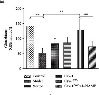 Fig.3.A from the publication: rBMSC/Cav-1F92A Mediates Oxidative Stress in PAH Rat by Regulating SelW/14-3-3η and CA1/Kininogen Signal Transduction.