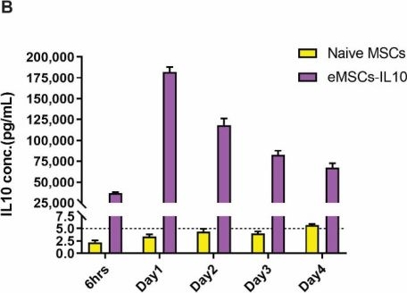 Fig.1.B showing Enzyme-linked immunosorbent assay from the publication: IL-10 mRNA Engineered MSCs Demonstrate Enhanced Anti-Inflammation in an Acute GvHD Model.