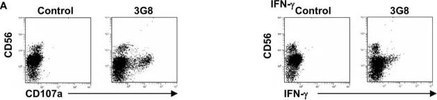 Fig.2.A showing Flow cytometry/Cell sorting from the publication: Gradual Increase of FcγRIIIa/CD16a Expression and Shift toward IFN-γ Secretion during Differentiation of CD56dim Natural Killer Cells.