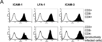 Fig.6.A showing Flow cytometry/Cell sorting from the publication: HIV transfer between CD4 T cells does not require LFA-1 binding to ICAM-1 and is governed by the interaction of HIV envelope glycoprotein with CD4.
