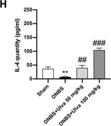 Fig.3.I showing Enzyme-linked immunosorbent assay from the publication: Ulva pertusa, a Marine Green Alga, Attenuates DNBS-Induced Colitis Damage via NF-κB/Nrf2/SIRT1 Signaling Pathways.