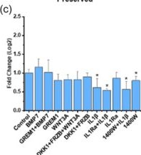 Fig.4.C from the publication: Dissecting SOX9 dynamics reveals its differential regulation in osteoarthritis.