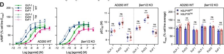 Fig.7.D from the publication: Modelling G protein-biased agonism using GLP-1 receptor C-terminal mutations.