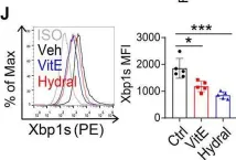 Fig.6.J showing Flow cytometry/Cell sorting from the publication: Fibrinogen-like protein 2 promotes tumor immune suppression by regulating cholesterol metabolism in myeloid-derived suppressor cells.