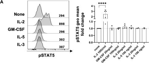 Fig.3.A showing Flow cytometry/Cell sorting in a Homo sapiens (Human) sample from the publication: Dissecting the role of CSF2RB expression in human regulatory T cells.