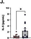 Fig.3.J showing Enzyme-linked immunosorbent assay from the publication: Serum 17β-estradiol inversely correlates with circulating group 2 innate lymphoid cells in a cohort of asthmatic patients.