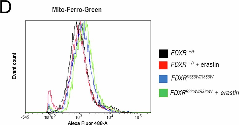 Fig.3.D showing Flow cytometry/Cell sorting from the publication: Ferroptosis is a novel pathogenic mechanism of FDXR-related disease via disruption of the NRF2 pathway.