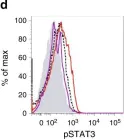 Fig.3.D showing Flow cytometry/Cell sorting in a Mus musculus (House mouse) sample from the publication: Microbiota-driven interleukin-17-producing cells and eosinophils synergize to accelerate multiple myeloma progression.