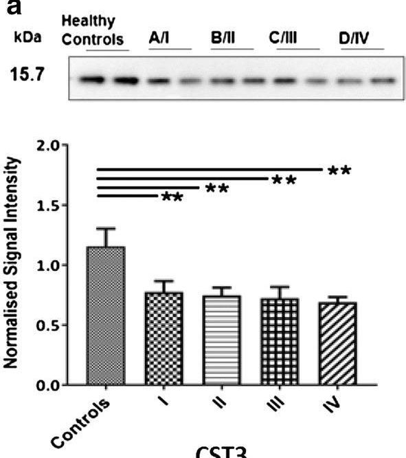Fig.5.A showing Western Blotting from the publication: Potential early clinical stage colorectal cancer diagnosis using a proteomics blood test panel.
