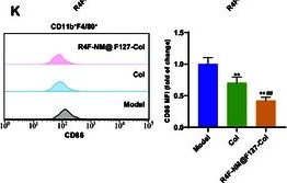 Fig.9.K showing Flow cytometry/Cell sorting from the publication: Harnessing Nanotechnology for Gout Therapy: Colchicine-Loaded Nanoparticles Regulate Macrophage Polarization and Reduce Inflammation.