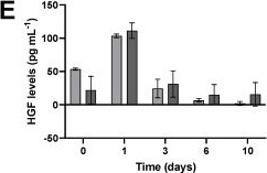 Fig.8.E showing Enzyme-linked immunosorbent assay from the publication: Engineering Regenerative Fibrin Scaffold from Balanced Protein-Concentrate Plasma: Structural and Biochemical Characterization.