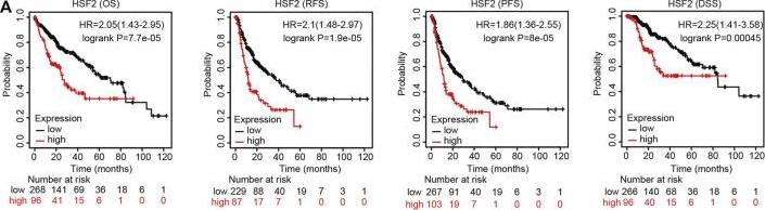 Fig.3.A showing Flow cytometry/Cell sorting in a Homo sapiens (Human) sample from the publication: Integrated Bioinformatics Analysis Identifies Heat Shock Factor 2 as a Prognostic Biomarker Associated With Immune Cell Infiltration in Hepatocellular Carcinoma.
