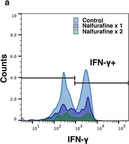 Fig.5.A showing Flow cytometry/Cell sorting from the publication: Topical administration of the kappa opioid receptor agonist nalfurafine suppresses corneal neovascularization and inflammation.