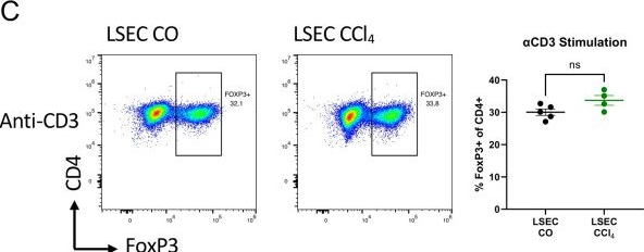 Fig.3.C showing Flow cytometry/Cell sorting in a Mus musculus (House mouse) sample from the publication: Antigen-specific tolerance and control of autoimmunity effected by liver sinusoidal endothelial cells is unimpaired in liver fibrosis.