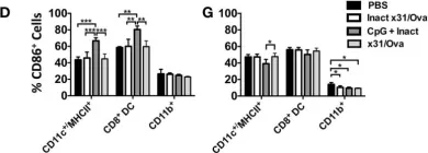 Fig.3.D,G showing Flow cytometry/Cell sorting in a Mus musculus (House mouse) sample from the publication: Single-Dose CpG Immunization Protects Against a Heterosubtypic Challenge and Generates Antigen-Specific Memory T Cells.