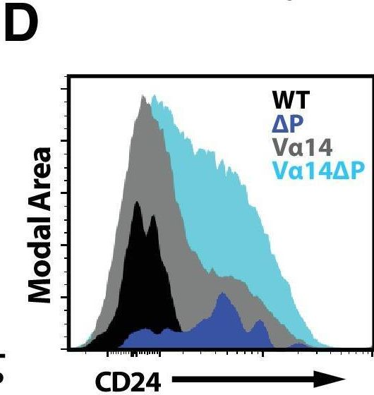 Fig.3.D showing Flow cytometry/Cell sorting from the publication: Histone Deacetylase 7 mediates tissue-specific autoimmunity via control of innate effector function in invariant Natural Killer T Cells.