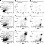 Fig.7.A showing Flow cytometry/Cell sorting in a Mus musculus (House mouse) sample from the publication: Inflammatory monocytes damage the hippocampus during acute picornavirus infection of the brain.
