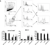 Fig.4.A showing Flow cytometry/Cell sorting from the publication: Oral Administration of Polymyxin B Modulates the Activity of Lipooligosaccharide E. coli B against Lung Metastases in Murine Tumor Models.