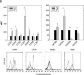 Fig.1.B showing Flow cytometry/Cell sorting from the publication: Role of CXCL13 and CCL20 in the recruitment of B cells to inflammatory foci in chronic arthritis.