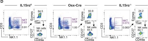 Fig.3.D showing Flow cytometry/Cell sorting in a Mus musculus (House mouse) sample from the publication: Transpresentation of interleukin 15 by stromal cell subsets regulates immune cell homeostasis.