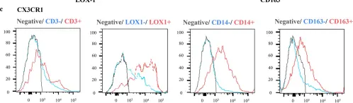 Fig.2.C showing Flow cytometry/Cell sorting in a Homo sapiens (Human) sample from the publication: Involvement of CX3CR1+ cells appearing in the abdominal cavity in the immunosuppressive environment immediately after gastric cancer surgery.