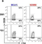 Fig.2.B showing Flow cytometry/Cell sorting from the publication: Mass Cytometry Discovers Two Discrete Subsets of CD39-Treg Which Discriminate MGUS From Multiple Myeloma.