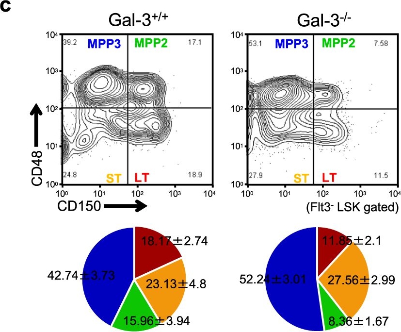 Fig.2.C showing Flow cytometry/Cell sorting in a Mus musculus (House mouse) sample from the publication: Indispensable role of Galectin-3 in promoting quiescence of hematopoietic stem cells.