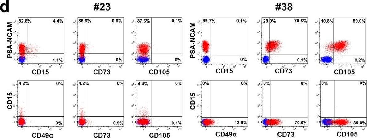 CD56 antibodies - Antibody search engine - CiteAb