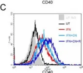 Fig.6.C showing Flow cytometry/Cell sorting from the publication: Ciliary neurotrophic factor (CNTF) plus soluble CNTF receptor alpha increases cyclooxygenase-2 expression, PGE2 release and interferon-gamma-induced CD40 in murine microglia.