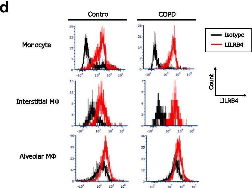 Fig.1.D showing Flow cytometry/Cell sorting from the publication: Upregulation of leukocyte immunoglobulin-like receptor B4 on interstitial macrophages in COPD; their possible protective role against emphysema formation.