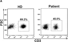Fig.1.A showing Flow cytometry/Cell sorting from the publication: Functional Change of Effector Tumor-Infiltrating CCR5+CD38+HLA-DR+CD8+ T Cells in Glioma Microenvironment.