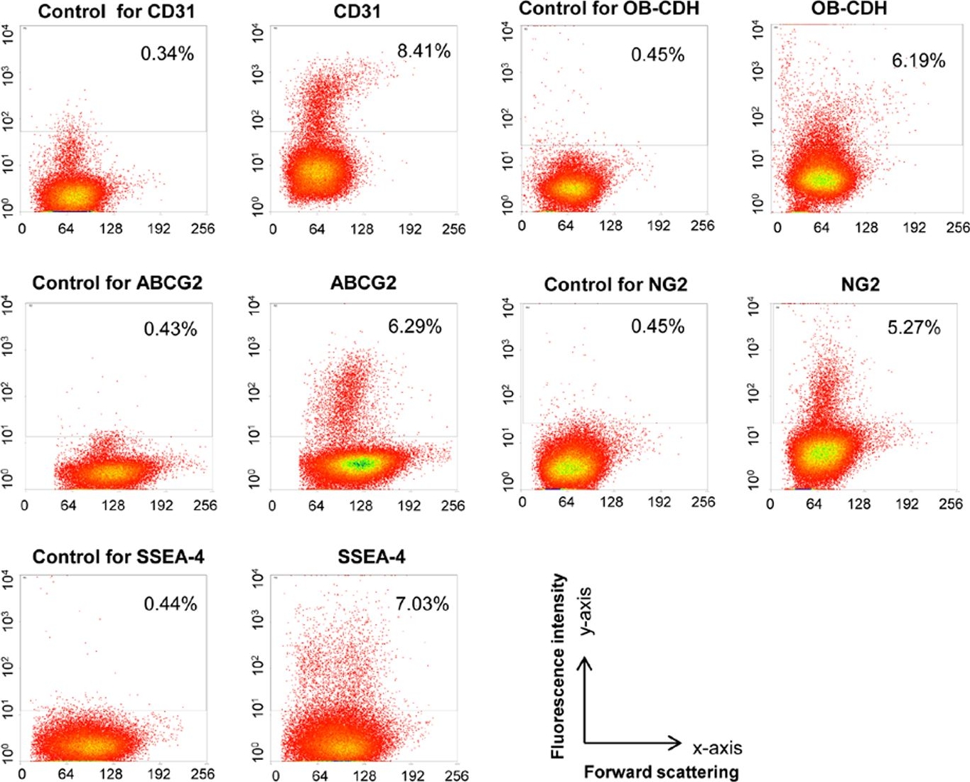 Fig.1.A showing Flow cytometry/Cell sorting in a Sus scrofa domesticus (Domestic pig) sample from the publication: Characterization of cell subpopulations expressing progenitor cell markers in porcine cardiac valves.