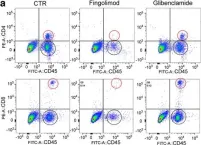 Fig.5.A showing Flow cytometry/Cell sorting in a Mus musculus (House mouse) sample from the publication: Salutary effects of glibenclamide during the chronic phase of murine experimental autoimmune encephalomyelitis.