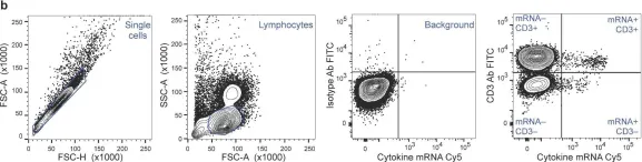 Fig.1.B showing Flow cytometry/Cell sorting from the publication: Single-Cell Cytokine Gene Expression in Peripheral Blood Cells Correlates with Latent Tuberculosis Status.