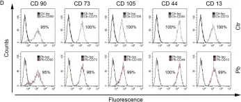 Fig.1.D showing Flow cytometry/Cell sorting in a Homo sapiens (Human) sample from the publication: P38 MAPK inhibition prevents polybrene-induced senescence of human mesenchymal stem cells during viral transduction.