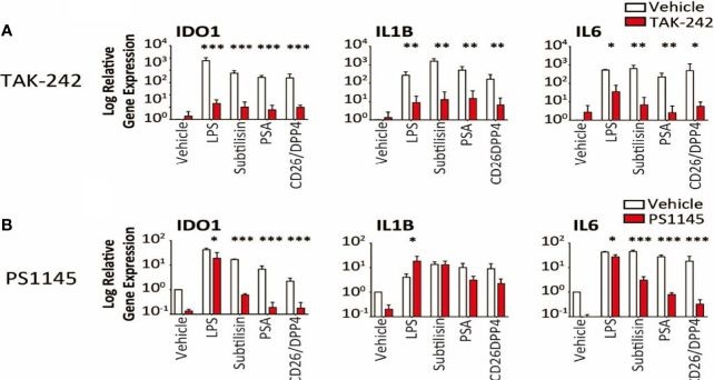 Fig.6.A from the publication: Induction of IDO1 and Kynurenine by Serine Proteases Subtilisin, Prostate Specific Antigen, CD26 and HtrA: A New Form of Immunosuppression?